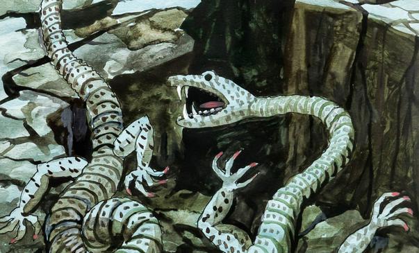 Qashkadaryo bestiariysi